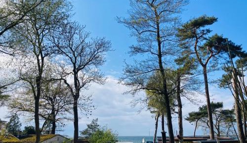 Bungalow - Water Front 