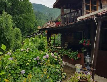 One-Bedroom Chalet