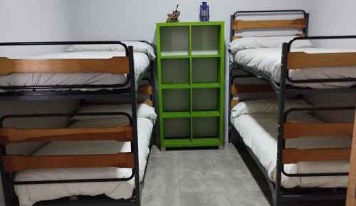 Bed in 4-Bed Mixed Dormitory Room