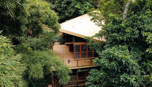 Standard Bungalow