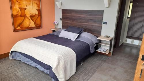 Double or Twin Room with Terrace