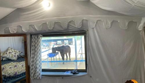 Tent