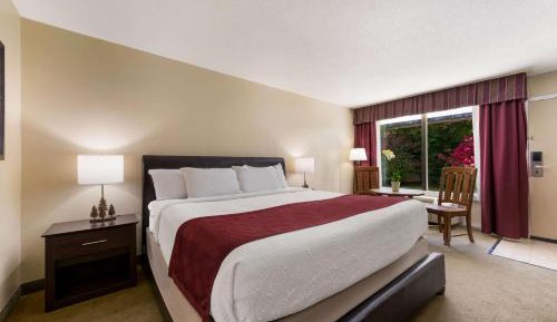King Suite with Roll-In Shower and Sofabed - Mobility Accessible/Non-Smoking
