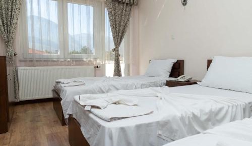 Basic Triple Room