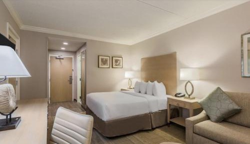 Standard King Room
