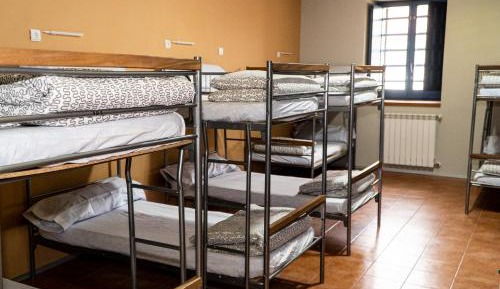Bed in 8-Bed Mixed Dormitory Room