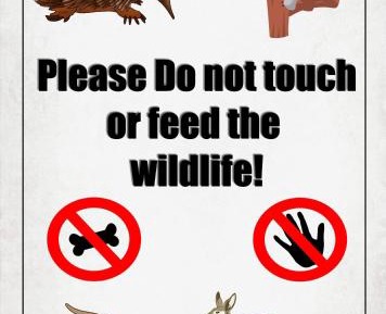 One-Bedroom Cottage - The Annex 