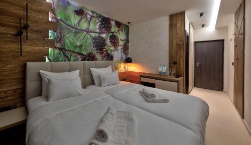 Deluxe Double or Twin Room with Mountain View
