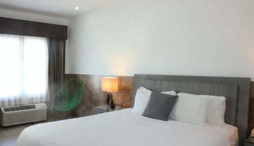 Standard Queen Room