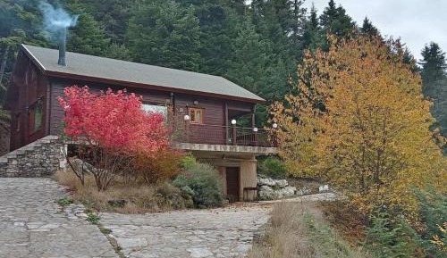 Two-Bedroom Chalet