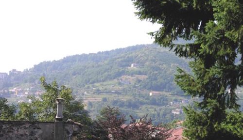 One-Bedroom Apartment (4 Adults)