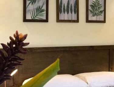 Double Room with Garden View