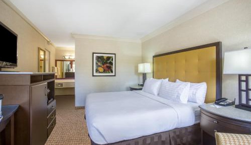 Standard King Room [South Building]