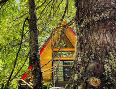 One-Bedroom Chalet