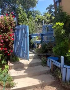 Studio with Garden View