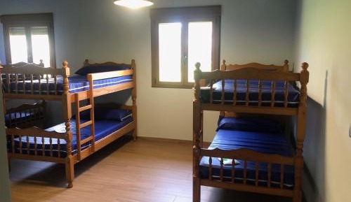 Bunk Bed in Mixed Dormitory Room