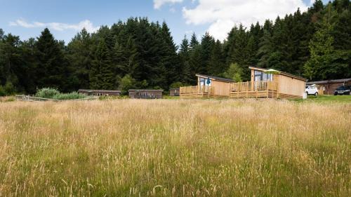 One-Bedroom Chalet - No Pets