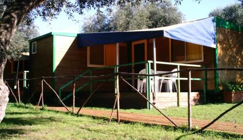 Mobile Home