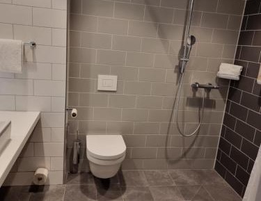 Standard Queen Room with Walk-In Shower