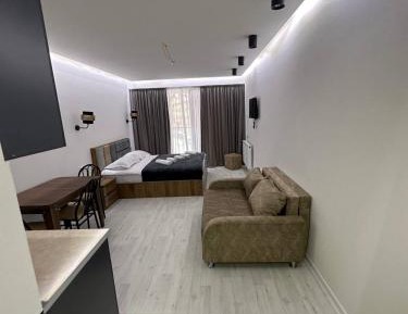 Studio with Mountain View