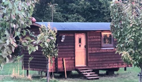 Mobile Home