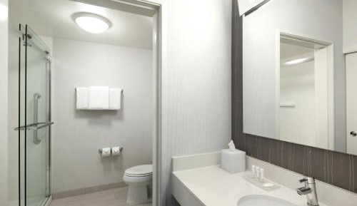 One-Bedroom King Suite with Sofa Bed