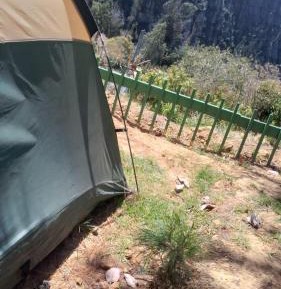 Tent
