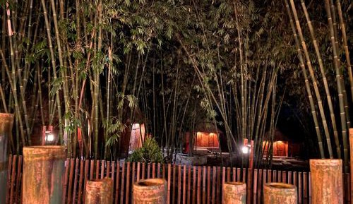 Cottage with Garden View