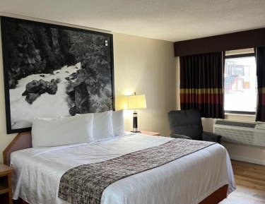 Standard King Room