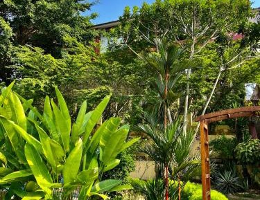 Studio with Pool View