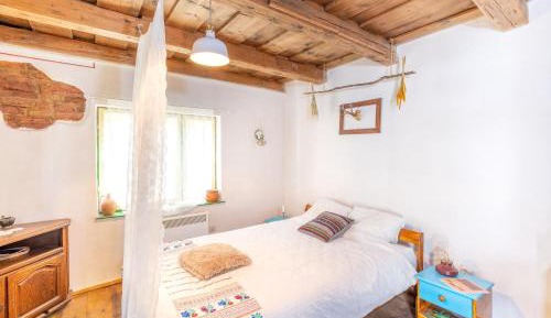 Studio with Garden View