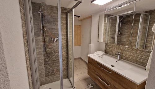 Apartment with Shower