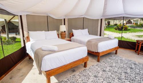Double Room with Two Double Beds
