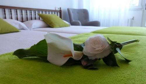Double or Twin Room with Terrace
