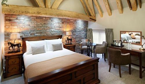 Theme King Room