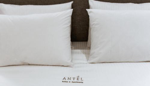 Premium Suite 4 Beds