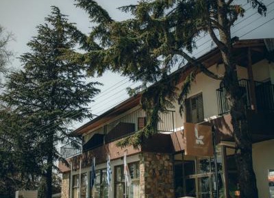 Superior Villa