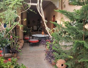 Triple Room with palm grove View