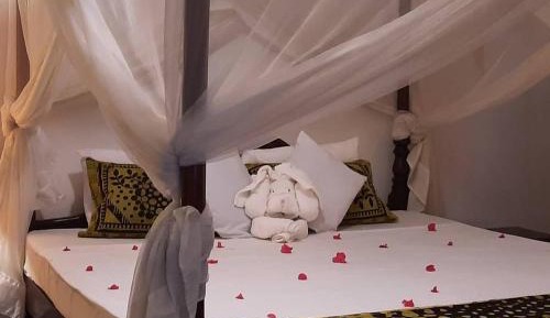 Queen Room with Pool View