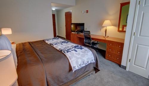 King Room - Accessible/Non-Smoking