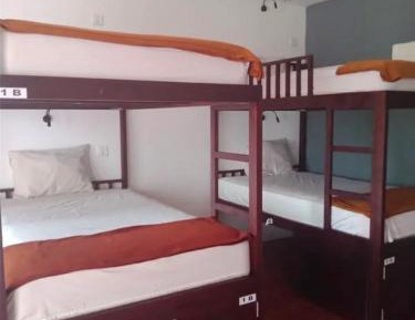 Bed in 4-Bed Mixed Dormitory Room