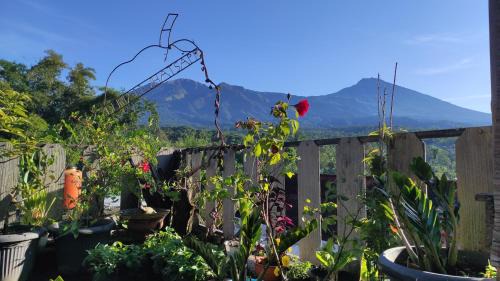 Double Room with Mountain View