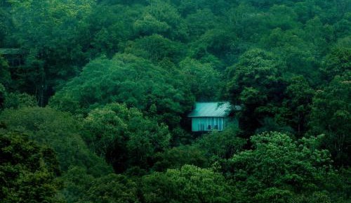 Deluxe Cottage with Jacuzzi - Complimentary in-house trekking activities