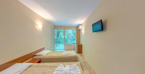 Twin Room with Terrace