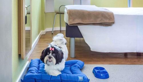 Standard Apartment with Double Bed (2 Adults)