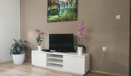 Two-Bedroom Apartment with Terrace