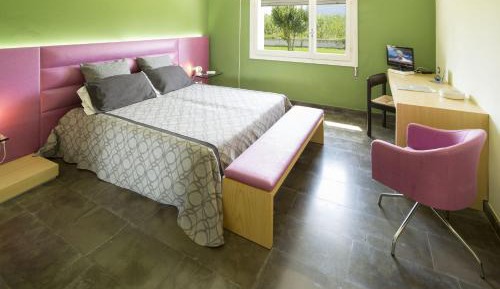 Standard Double Room for Single Use