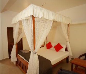 Deluxe Double or Twin Room with City View