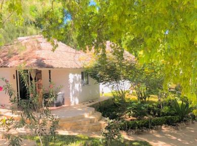 Triple Room with Sea View