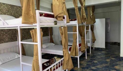 Bunk Bed in Mixed Dormitory Room